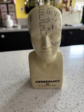 Phrenology head approx for sale  SWINDON