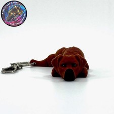 Rhodesian ridgeback dog for sale  Las Vegas
