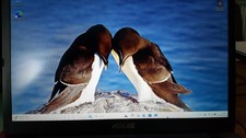 Asus vivobook zoll gebraucht kaufen  Rastatt