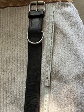 Hundehalsband große hunde gebraucht kaufen  Essen