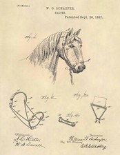 Horse halter patent for sale  West Haven