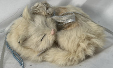 Vintage sleeping kitty for sale  Patchogue