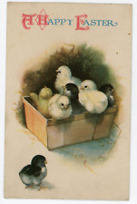 Happy easter chicks for sale  Hummelstown