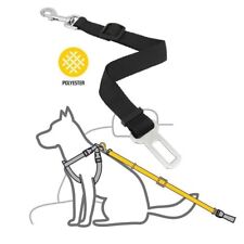 Cintura sicurezza cani usato  Seriate