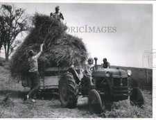 1966 press photo for sale  Memphis