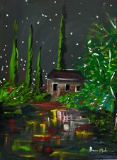 Bruno bifulco 40x50 usato  Como
