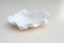 Coquillage ancien benitier d'occasion  Athis-Mons