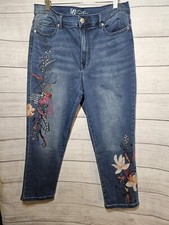 Diane gilman dg2 for sale  Chippewa Falls
