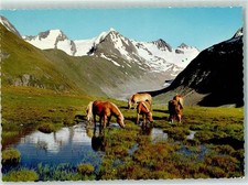 10279473 obergurgl tiroler usato  Spedire a Italy