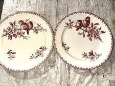 Assiettes plates sarreguemines d'occasion  Fegersheim