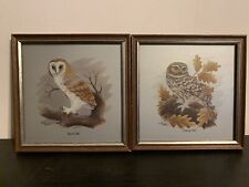 Vintage owl pictures for sale  BRISTOL