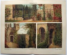 Climbing plants original for sale  Sayville