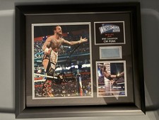 Punk autographed plaque for sale  Torrington