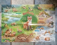 Tierposter fuchs medizini gebraucht kaufen  Bottrop