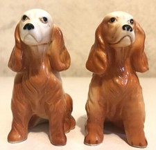 Cocker spaniels bone for sale  Hadley
