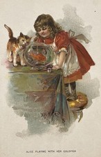 Antique 1903 color for sale  Owego