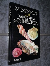 Muscheln wasserschnecken jan gebraucht kaufen  Hannover