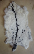 Großes hasenfell weiss gebraucht kaufen  Naundorf, Mügeln
