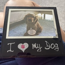 photo frames dogs for sale  PETERBOROUGH
