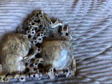 Old soapstone double for sale  COLCHESTER
