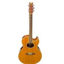 washburn ea for sale  KIDDERMINSTER