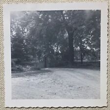 Vintage photo 1950s for sale  Murphy