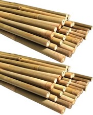 bamboo stakes 4ft for sale bamboo stakes 4ft for sale Brooklyn