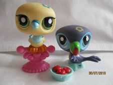 Petshop duo toucan d'occasion  Bailleul