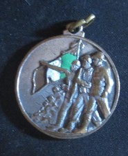Medaglia del reggimento usato  Torino