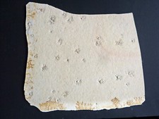 F1707 jura saccocoma gebraucht kaufen  Röttenbach b Erlangen