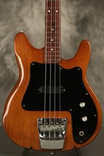 1975 rickenbacker model for sale  Carbondale