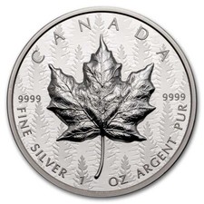 2024 canada pulsatoire d'occasion  Expédié en France