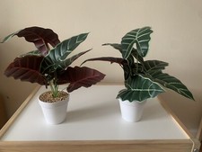 Faux plants potted for sale  Jersey City