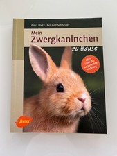 Zwergkaninchen hause tierratge gebraucht kaufen  Weil am Rhein