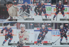 Del playercards 2024 gebraucht kaufen  Dossenheim