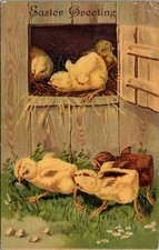 Postcard easter chick for sale  Denver