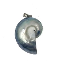 Sterling silver nautilus for sale  Fishers