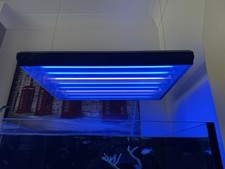 Ati sunpower pendant for sale  BOLTON