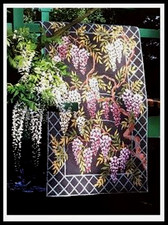 Glorafilia wisteria rug for sale  UK