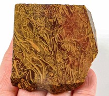 240.5ct natural golden for sale  Walnut