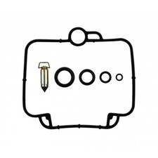 Carburetor repair kit for sale  BRIGHTON