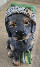 Rottweiler dog detailed for sale  Akron