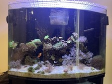 120l marine aquarium for sale  BIRMINGHAM