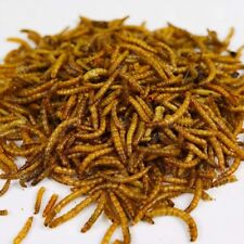 2kg premium wild for sale  CHRISTCHURCH
