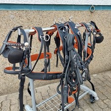 Top leder zweispänner gebraucht kaufen  Herten