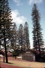 Vintage 35mm slide for sale  Deland
