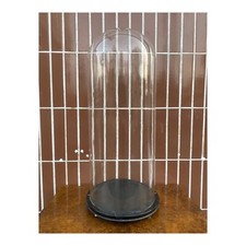 Glasdom glassturz glashaube gebraucht kaufen Glasdom glassturz glashaube gebraucht kaufen  Nürnberg