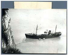 The trawler joli d'occasion  Expédié en Belgium