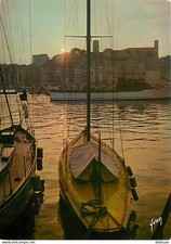 Cannes coucher soleil d'occasion  Fruges