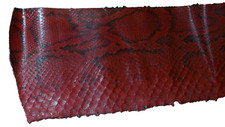 Serpent grand morceau d'occasion  Doyet